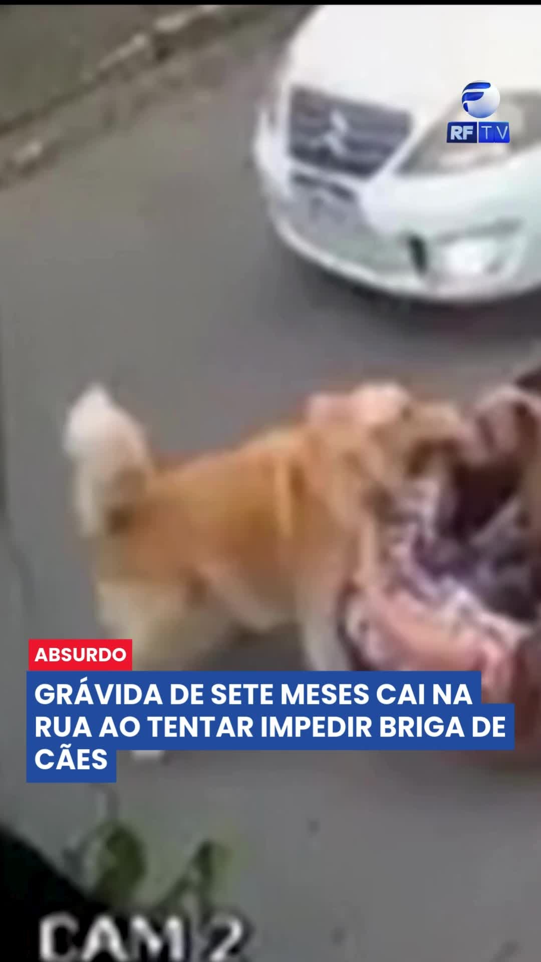 🚨 GRÁVIDA DE 7 MESES É ATACADA AO TENTAR SALVAR SEU CACHORRO! 🐶💥
Em Santos (SP), uma mulher grávida caiu no meio da rua ao tentar defender seu pet de dois cães da raça "pit monster".
O caso aconteceu na última quinta-feira e gerou preocupação entre moradores da região.
❗ Segurança e responsabilidade com animais de grande porte são fundamentais!
#AtaqueDeCães #SantosSP #Grávida #PitMonster #RFNews #Segurança #Pets