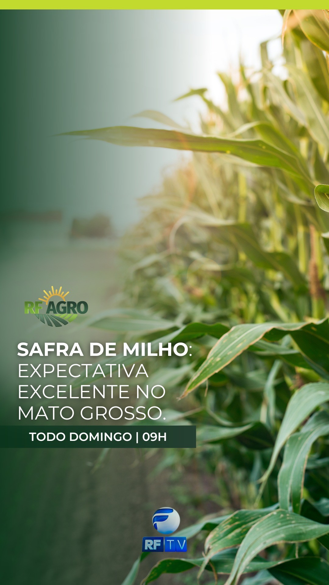 Neste domingo, você vai conferir tudo sobre a safra de milho no Mato Grosso, que promete uma boa expectativa 🌽🔥
Com informações precisas, curiosidades do campo e muito conteúdo pra quem vive — ou se interessa — pelo mundo agro!
Tudo isso no comando de Juliana de Paula, a partir das 9h da manhã, na RFTV! 💚🌾
📺 Informação, dinamismo e aquele jeitão que só o RF AGRO tem!
#RFAgro #AgroÉTop #SafraDeMilho #MatoGrosso #AgroNoDomingo #JulianaDePaula #RFTV