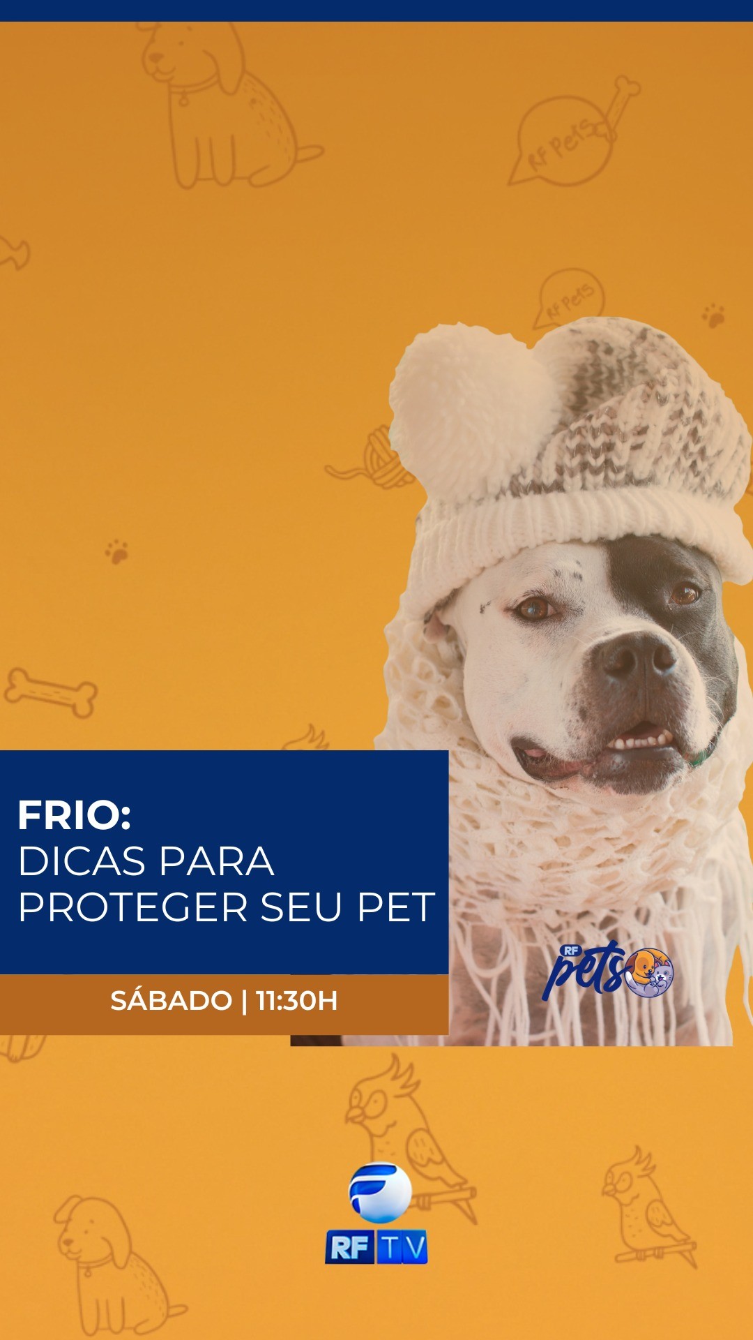 🐾❄️ Tá frio aí? E os seus pets, estão bem protegidos?
No RF PETS desta semana, você vai conferir dicas essenciais para cuidar dos seus bichinhos nos dias gelados e evitar problemas de saúde comuns no inverno.
📺 É neste sábado as 11:30 da manhã, com Roberta Galdino, na tela da RFTV.
Não perca o RF PETS, o programa feito pra quem ama os animais! 💙
#RFPets #RFTV #CuidandoDosPets #Frio #Inverno #PetsNoFrio #BemEstarAnimal #RobertaGaldino