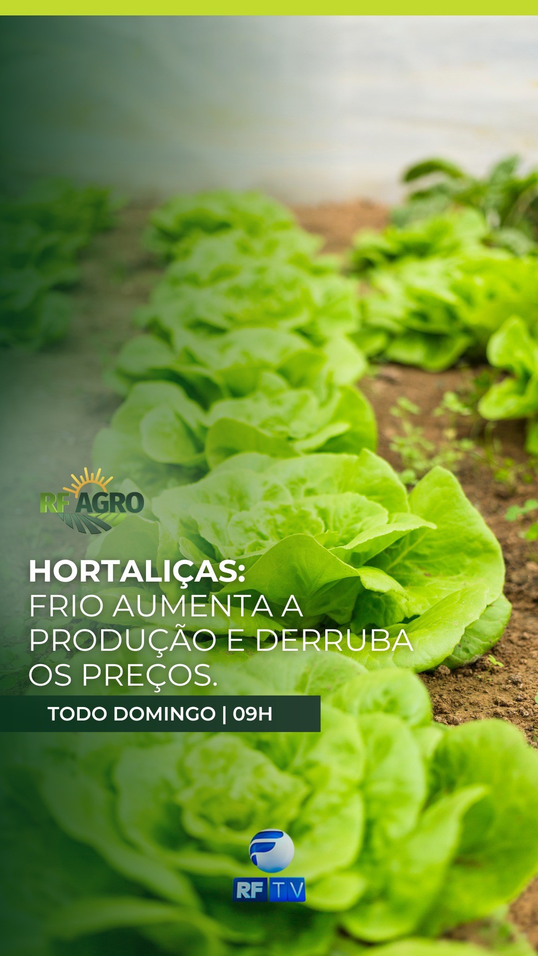 ❄️ Com a chegada do frio, a produção de hortaliças aumenta e o preço despenca!
A boa oferta no campo impacta diretamente o bolso do consumidor.
🌽 Essas e outras notícias do agro você confere aqui na RFTV!
📺 RF Agro — todo domingo, às 9h da manhã, na RFTV.
Informação que vem direto da terra pra sua tela!
#RFAGRO #RFTV #AgroÉTudo #NotíciasDoCampo #Hortaliças #ClimaNoCampo #PreçoBaixo