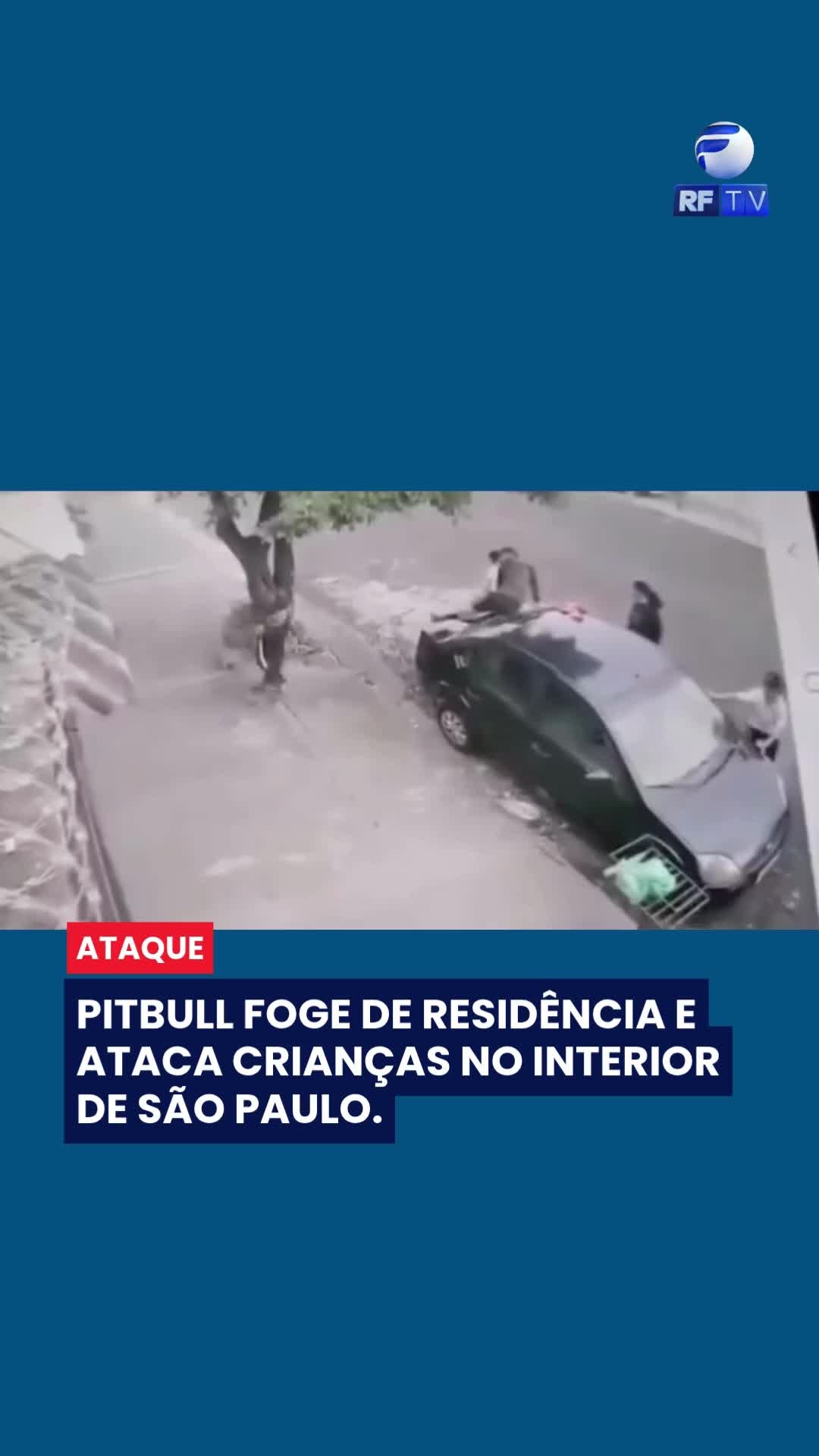 🚨 Ataque de pitbull assusta crianças em Jaboticabal (SP)!
Na tarde de domingo (15), um grupo de crianças e adolescentes foi surpreendido por um ataque de um pitbull enquanto brincava na rua.
🐕💨 Câmeras de segurança registraram o momento de tensão: para escapar, os jovens subiram rapidamente no teto de um carro estacionado, enquanto o cachorro circulava e fazia investidas contra eles.
O animal foi contido pelo tutor pouco tempo depois.
Uma das crianças teve apenas ferimentos leves e não precisou de atendimento médico.
⚠️ O caso gerou preocupação entre os moradores e viralizou nas redes sociais.
#Jaboticabal #Pitbull #Ataque #Crianças #Segurança #InteriorSP #Notícia #RFTV #Cachorro