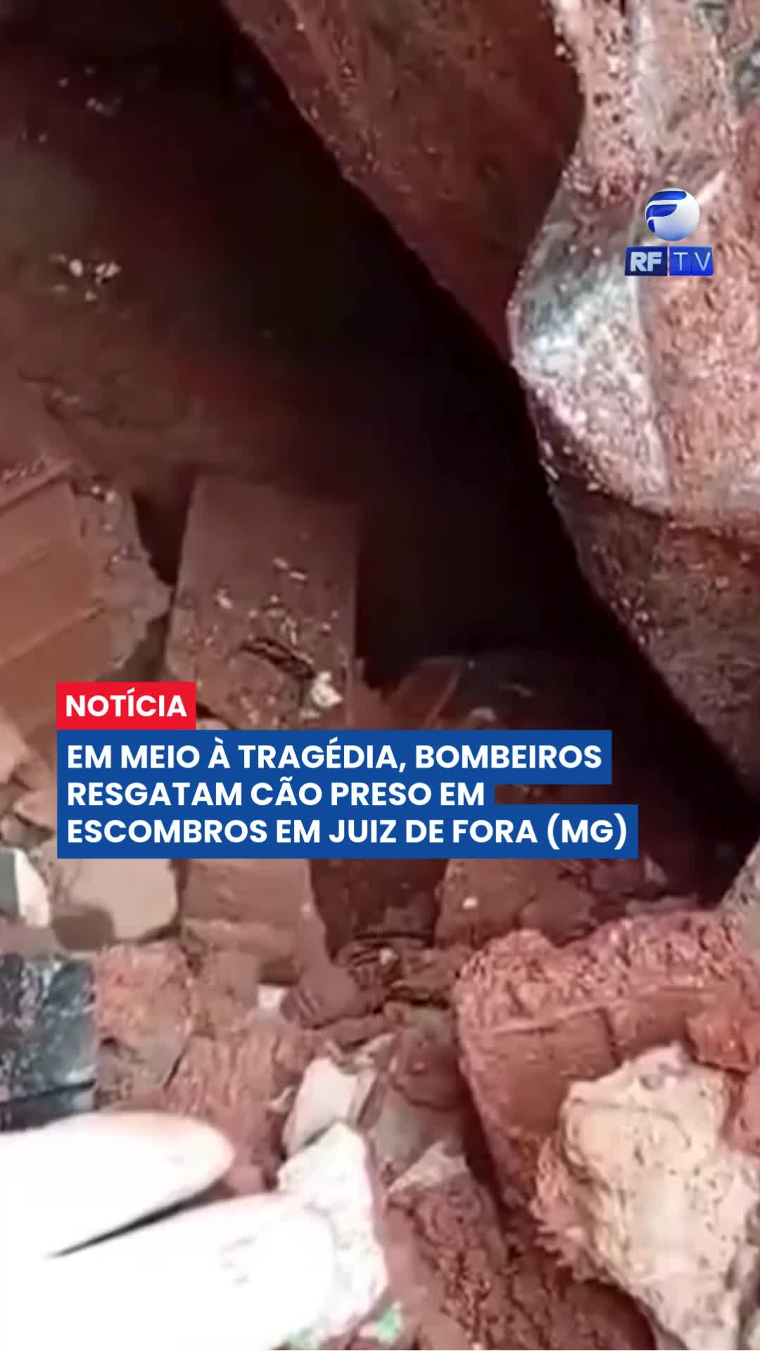 🐾 Resgate emocionante em meio à destruição

Em meio aos estragos causados pelas fortes chuvas na Zona da Mata mineira, uma história trouxe alívio nesta quinta-feira (26), em Juiz de Fora.

O cãozinho Pumba foi encontrado preso nos escombros após um novo deslizamento no bairro Jóquei Clube I. Ele estava dentro da própria casinha, que ficou soterrada por terra e entulho.

Militares do Corpo de Bombeiros atuaram com muito cuidado para retirar os destroços e alcançar o animal. O trabalho exigiu atenção redobrada, mas, após grande esforço, Pumba foi resgatado em segurança.

Uma cena que emocionou moradores e mostrou, mais uma vez, a dedicação das equipes de resgate.

#JuizDeFora #Resgate #Chuvas #Bombeiros #MinasGerais #HistóriaQueEmociona