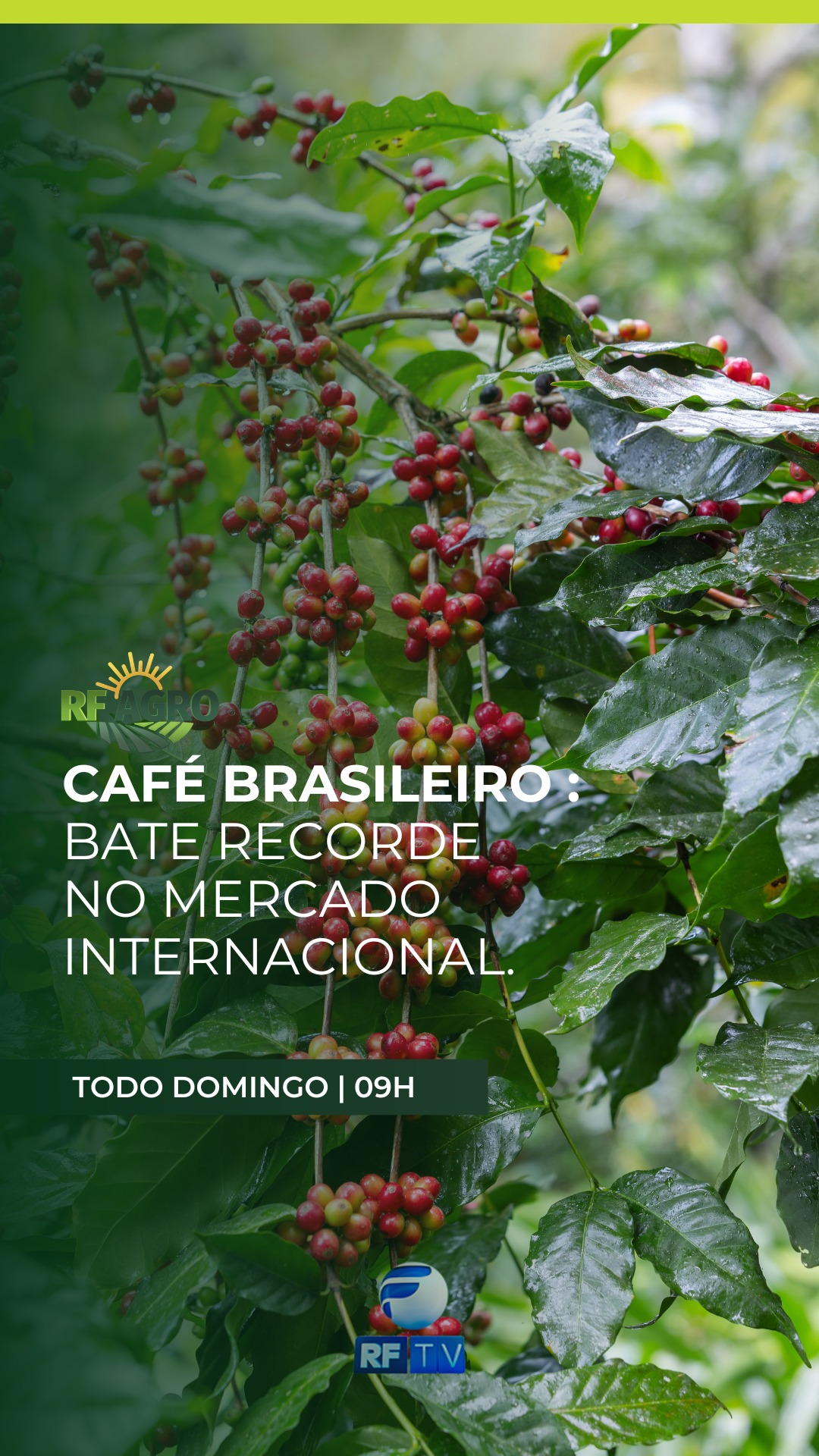 🌱 Neste domingo tem RF Agro na tela da RFTV!

O programa traz muita informação do campo para você, com as principais notícias e tendências do agronegócio. Entre os destaques, você vai saber como o café brasileiro bateu recorde de faturamento no mercado internacional, reforçando a força do agro no cenário mundial.

Além disso, o RF Agro apresenta reportagens, análises e informações importantes que ligam o campo à sua casa.

📺 Domingo, às 9h, na tela da RFTV. Não perca!

#RFAgro #Agro #Agronegócio #CaféBrasileiro #NotíciasDoCampo #AgroBrasil #RFTV