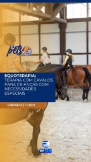 Neste sábado, o RF Pets traz muita informação e curiosidades do mundo pet pra você! 🐾

Você vai conhecer a equoterapia, um método terapêutico que utiliza cavalos para estimular o desenvolvimento físico, emocional e social de crianças com necessidades especiais.

E tem muito mais conteúdo especial pra quem ama o universo dos pets!

Não perca: sábado, às 11h30 da manhã, na tela da RFTV.

Onde assistir: RFTV – TV aberta canal 8.1, TVRO da Embratel (canal 120), YouTube e app RFTV Play.