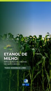🌽 Neste domingo tem RF Agro!

Etanol de milho impulsiona a economia em Mato Grosso.
E mais: a dependência de fertilizantes importados fragiliza o agronegócio brasileiro.

📺 Essas e outras informações do campo você acompanha neste domingo, às 9h, na tela da RFTV.

📲 Onde assistir:
RFTV – TV aberta (canal 8.1)
TVRO da Embratel (canal 120)
YouTube: @rftvoficial
App: RFTV Play

#RFAgro #Agro #Agronegócio #MatoGrosso #EtanolDeMilho #RFTV
