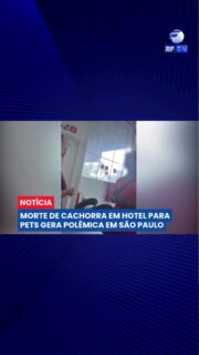 🚨 Mistério e indignação após a morte de uma cachorrinha em hotel para pets em São Paulo
A morte de Sol, uma cachorrinha que estava hospedada em um hotel para pets na zona sul de São Paulo, gerou revolta e levantou questionamentos sobre a segurança e os cuidados oferecidos no local. A tutora, Fernanda, afirma que só descobriu a gravidade da situação após insistir por informações.
Segundo relatos, Sol teria sido atacada por outro cachorro recém-adotado pela instituição. A família questiona a falta de atendimento veterinário imediato e também como o corpo do animal foi mantido até a realização da necropsia.
Outro caso semelhante também veio à tona. Uma cliente contou que sua cachorrinha sofreu lesões nos olhos após a hospedagem e precisou passar por cirurgia.
Agora, a prefeitura anunciou uma fiscalização para verificar a licença e as condições de funcionamento do hotel. Enquanto isso, Fernanda segue buscando respostas sobre o que realmente aconteceu com Sol.
#SãoPaulo #Pets #HotelPet #CasoSol #Cachorros #MausTratos #SegurançaAnimal #PetLovers #Fiscalização #Notícias