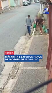 Uma mãe evitou que os filhos fossem assaltados ao perceber a ação de um criminoso em São Paulo. Os meninos voltavam da escola quando foram abordados pelo suspeito.
Ao notar a situação, a mulher começou a gritar por ajuda e ameaçou chamar a polícia. Assustado, o criminoso fugiu antes de concluir o roubo.
Pouco tempo depois, o suspeito foi localizado e preso pela polícia. 🚔
#SaoPaulo #Assalto #Policia #Seguranca #Noticias #Brasil #MaeCoragem