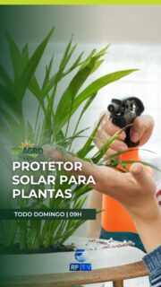 🌱 Não perca neste domingo o RF Agro!
Você vai acompanhar as principais notícias do campo, incluindo uma novidade desenvolvida por pesquisadores no Brasil: um protetor solar para plantas, criado para ajudar a reduzir os impactos do calor nas plantações.
Essas e outras informações do agronegócio você confere aqui, na tela da RFTV.
📺 Domingo, a partir das 9h da manhã!
Onde assistir:
📡 TV aberta – canal 8.1
📡 TVRO Embratel – canal 120
▶️ YouTube
📱 App RFTV Play
#RFAgro #Agronegócio #Campo #Agricultura #Brasil #RFTV #NotíciasDoCampo