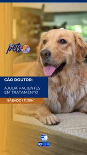 Prepare-se para um programa cheio de emoção, informação e curiosidades do universo animal!
Neste sábado, o RF PETS traz histórias incríveis e conteúdos especiais para quem ama os pets. Você vai conhecer o trabalho emocionante do “Cão Doutor”, que leva carinho, alegria e apoio a pacientes em tratamento em Rio Claro.
E tem muito mais: dicas, curiosidades e assuntos importantes do mundo pet para toda a família!
📺 Não perca o RF PETS
🗓️ Neste sábado
⏰ Às 11h30 da manhã
📡 Aqui na RFTV
Onde assistir : RFTV – TV aberta canal 8.1, TVRO da Embratel (canal 120), YouTube e App RFTV Play.
