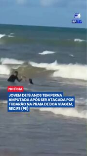 JOVEM TEM PERNA AMPUTADA APÓS ATAQUE DE TUBARÃO EM RECIFE

Uma jovem de 19 anos foi atacada por um tubarão na praia de Boa Viagem, em Recife (PE), enquanto estava com a água na altura da cintura. Ela foi socorrida, passou por cirurgia, mas precisou ter uma das pernas amputada devido à gravidade dos ferimentos.

O ataque aconteceu em uma área sinalizada com placas de alerta para a presença de tubarões. Este é o quarto caso registrado em Pernambuco neste ano e o segundo em apenas dois dias. No último domingo, um menino de 11 anos também foi atacado na região e teve a perna amputada.

#Tubarão #Recife #BoaViagem #Pernambuco #AtaqueDeTubarão #Litoral #Segurança #Brasil #Notícias #RFTV