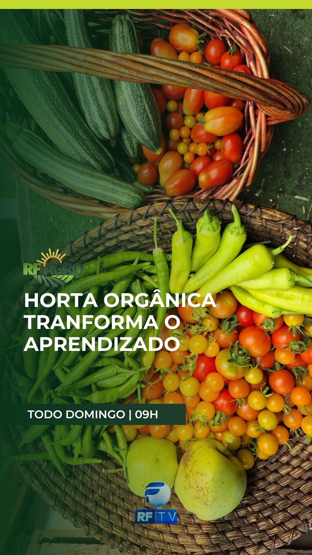 O RF Agro deste domingo traz reportagens especiais sobre inovação e práticas no campo. Em Campinas, vamos mostrar uma horta orgânica instalada dentro de um shopping center que transforma o contato com a terra em aprendizado.

A edição aborda também o cultivo de camarão no Agreste Pernambucano, destacando como uma ração específica auxilia no desenvolvimento do viveiro. Além disso, você vai ver como o bem-estar animal e a oferta de sombra para o gado de leite influenciam diretamente no aumento da produção.

Essas e outras notícias vão ao ar neste domingo, a partir das 9h da manhã. Não perca!

Horários:
🗓️ Todos os domingos, às 9h da manhã

Onde assistir:
📺 RFTV – TV aberta canal 8.1
🛰️ TVRO da Embratel (canal 120)
💻 YouTube e App RFTV Play