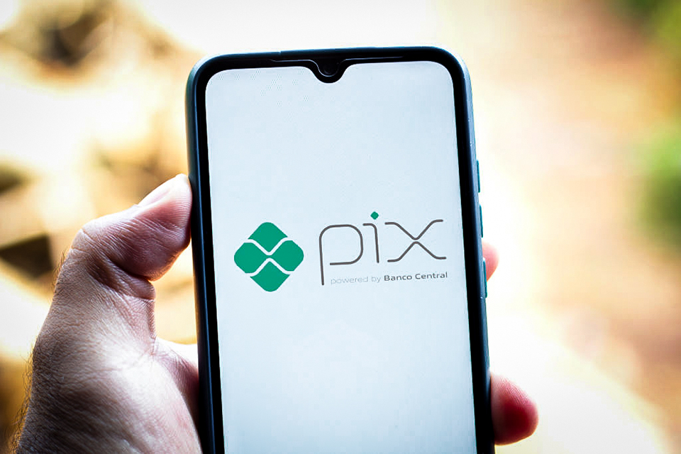 Você se sente seguro para fazer a transação via PIX?
