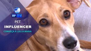 Conheça a história da pet Lolla Maria