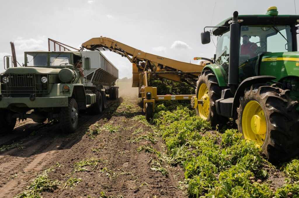 Cooperativas de crédito e agronegócio terão financiamento do BNDES 