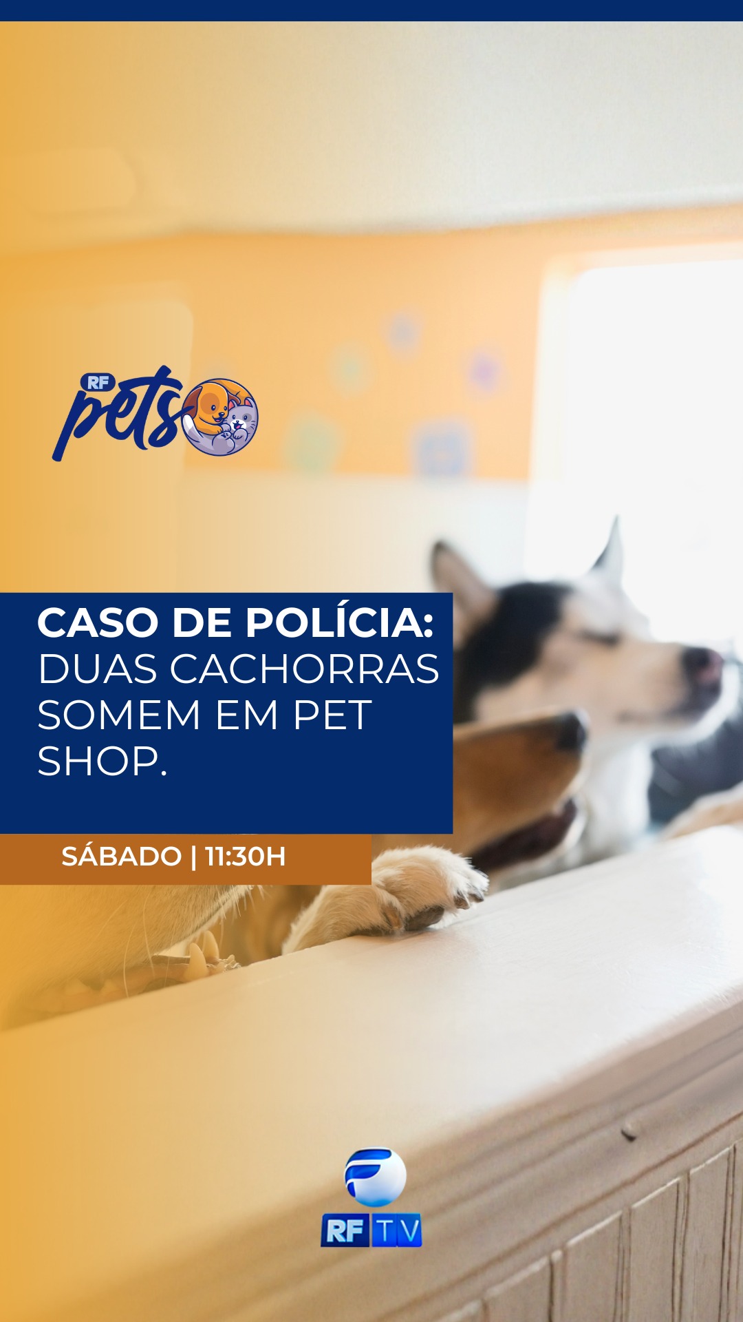 🐾 Neste sábado tem RF Pets na tela da RFTV!

Você vai acompanhar histórias emocionantes do mundo pet e também um caso que chamou a atenção: duas cachorras que desapareceram de um pet shop e o caso acabou indo parar na polícia. O programa traz os detalhes dessa história e outros assuntos importantes para quem ama e cuida dos animais.

Além disso, o RF Pets traz informações, curiosidades, cuidados com os animais e conteúdos especiais para quem faz dos pets parte da família.

📺 Neste sábado, às 11h30, na tela da RFTV. Não perca!

#RFPets #MundoPet #Pets #AmorAnimal #PetLovers #Cães #PetShop #RFTV #ProgramaDeTV
