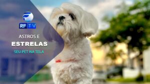 Seu pet na RFTV: confira os astros e estrelas da sua casa na tela