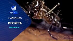 Decreta emergência da Dengue