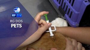 MICROCHIPAGEM PET: CONFIRA AS VANTAGENS DESSE RECURSO