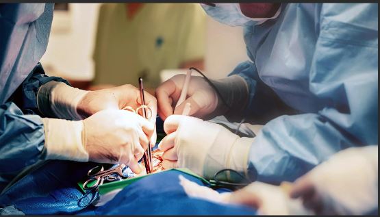 Você está na fila para algum tipo de transplante?