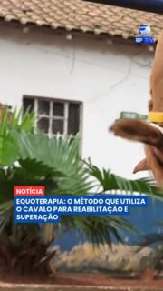 A equoterapia é muito mais que um exercício; é um método terapêutico reconhecido que utiliza o cavalo para o desenvolvimento biopsicossocial. Em Limeira, a Equoterapia Daoud realiza um trabalho fundamental, utilizando o movimento tridimensional do animal para estimular o equilíbrio, a postura e a coordenação motora de crianças e adultos.
O vídeo destaca histórias emocionantes, como a do pequeno Dudu, que apresentou melhoras significativas no controle de tronco, e de uma jovem com autismo que desenvolveu um vínculo profundo com o cavalo Jack. A técnica é baseada na neuroplasticidade, onde o cérebro reconhece o padrão de marcha do cavalo, que é semelhante ao humano, ativando estímulos essenciais para a reabilitação.
Com uma equipe multidisciplinar de 14 profissionais, o projeto Daoud também oferece atendimentos filantrópicos e sistemas de apadrinhamento. Conheça essa iniciativa que transforma o afeto em superação e conquistas diárias.
Onde assistir:
📺 RFTV – TV aberta canal 8.1
🛰️ TVRO da Embratel (canal 120)
💻 YouTube e App RFTV Play
#Equoterapia #Saúde #Inclusão #Limeira #Reabilitação #Neuroplasticidade #Superação #Notícias #SãoPaulo #RFTV #Brasil