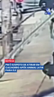 A Polícia Civil identificou o homem suspeito de atirar contra um cachorro em Belo Horizonte (MG). Segundo as investigações, ele é um sargento da Polícia Militar.
O caso ganhou repercussão após câmeras de segurança registrarem o momento em que o suspeito saca uma arma e dispara contra o animal em plena via pública. De acordo com relatos, o cachorro teria latido para ele momentos antes do ataque.
O cão foi socorrido e recebeu atendimento veterinário. Já o policial poderá responder por crimes relacionados a maus-tratos contra animais e uso irregular da arma, dependendo do andamento das investigações.
O caso segue sendo apurado pelas autoridades.
#BeloHorizonte #MausTratos #Animais #PolíciaMilitar #MinasGerais #Investigação #Notícias #Brasil