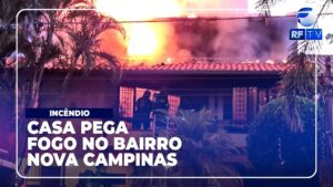 Dois gatos morrem durante incêndio em residência