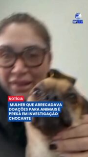 Uma mulher conhecida por realizar campanhas de proteção a animais abandonados foi presa acusada de participar de um esquema de maus-tratos contra cães e gatos. Segundo a investigação, ela e dois veterinários são suspeitos de desviar recursos de doações e ordenar procedimentos de eutanásia sem a devida necessidade clínica.
De acordo com a polícia, a investigada teria arrecadado centenas de milhares de reais em campanhas destinadas ao tratamento de animais doentes. As autoridades afirmam que parte desses recursos teria sido desviada e que diversos animais que poderiam receber tratamento foram submetidos à eutanásia.
A mulher foi presa junto com dois veterinários e responderá por crimes como maus-tratos, estelionato e associação criminosa. O caso segue sob investigação.
#MausTratos #Animais #ProteçãoAnimal #Polícia #Investigação #Brasil #Notícias #Urgente