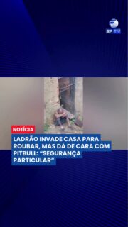 🐶 Pitbull impede furto e invasor acaba preso em Franca
Um pitbull evitou o furto a uma residência em Franca, no interior de São Paulo, após atacar um homem que invadiu o imóvel nesta segunda-feira (11).
Segundo Maria Aparecida, tutora do animal, o cachorro passou a ficar na casa depois de outros furtos registrados no local.
O suspeito, de 34 anos, sofreu ferimentos na perna, recebeu atendimento médico e foi encaminhado à Central de Polícia Judiciária, onde permanece preso.
#Franca #SãoPaulo #Pitbull #Furto #Polícia #Segurança #InteriorDeSP #Prisão #Notícias