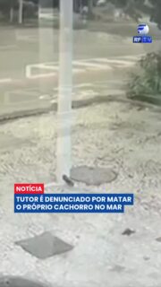 Novas imagens de câmeras de segurança reforçam a investigação sobre a morte de um cachorro da raça American Bully em Copacabana, no Rio de Janeiro. As gravações mostram o tutor caminhando com o animal antes de retornar sozinho para casa.
A Polícia Civil identificou o homem como principal suspeito e afirma que há indícios de que o cão tenha sido afogado de forma intencional. O caso foi encaminhado à Justiça após a conclusão do inquérito.
O investigado responderá por maus-tratos a animais com resultado morte e poderá ser condenado à pena prevista em lei. O episódio provocou forte repercussão entre moradores e defensores dos direitos dos animais.
#RioDeJaneiro #Copacabana #Polícia #MausTratos #CausaAnimal #Justiça #Brasil #Notícias #Urgente