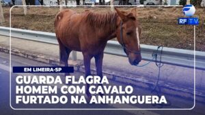 Tá No Ar Campinas – Homem é flagrado com cavalo Furtado em rodovia