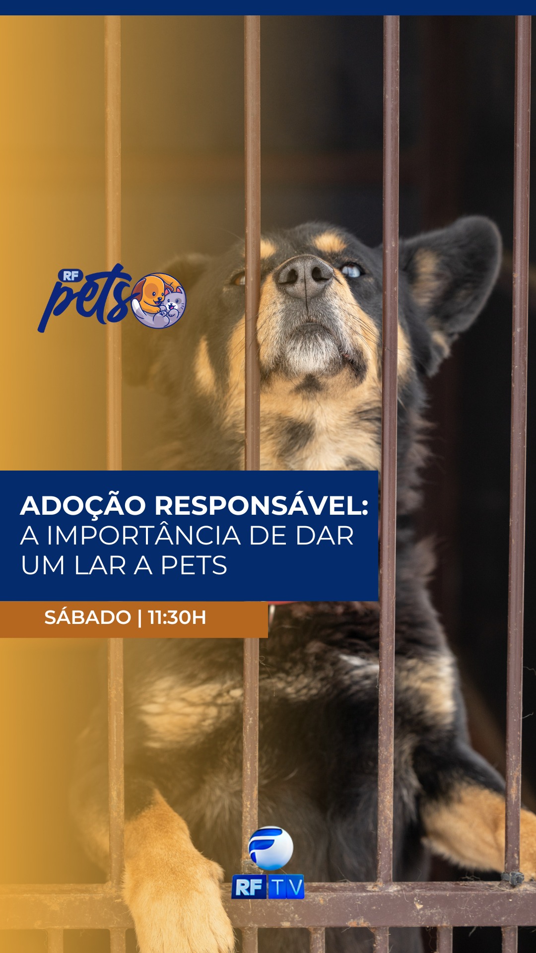 Neste sábado, o RF Pets traz uma edição imperdível com foco na adoção responsável, destacando a importância de dar um lar a pets que muitas vezes são preteridos, como os mais velhos ou de pelagem escura. Acompanhe dicas valiosas para fazer uma escolha consciente e amorosa.

Prepare-se para se emocionar com histórias de superação e final feliz! Conheça o Max, o cachorrinho que, após uma carreira na Guarda Municipal de Vinhedo, inicia uma nova fase de sua vida. E descubra o resgate surpreendente de uma gatinha, encontrada graças ao microchip, um exemplo da tecnologia a serviço dos nossos amigos de quatro patas.

Além disso, o programa traz uma curiosidade internacional direto do México: uma cachorrinha perdida que foi encontrada em meio à celebração da torcida na Copa! Não perca essas e outras notícias do mundo animal. 

Sintonize no RF Pets neste sábado e inspire-se!
Horários: Sábado, às 11h30

Onde assistir:
📺 RFTV – TV aberta canal 8.1
🛰️ TVRO da Embratel (canal 120)
💻 YouTube e App RFTV Play

#RFPets #AdoçãoResponsável #HistoriasDePets #GuardaMunicipal #Microchip #MundoAnimal  #Brasil