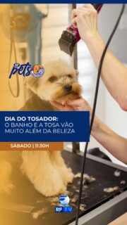🐶✂️ NESTE SÁBADO TEM RF PETS ESPECIAL EM HOMENAGEM AO DIA DO TOSADOR!

Você vai descobrir por que o banho e a tosa vão muito além da beleza e são essenciais para a saúde e o bem-estar dos pets.

Além disso, vamos conhecer uma escola que forma novos profissionais para um mercado que cresce cada vez mais e oferece excelentes oportunidades.

Se você ama animais ou pensa em empreender nesse segmento, este programa é para você!

📅 Sábado
🕦 Às 11h30

📺 Onde assistir?
📡 RFTV – TV aberta canal 8.1
🛰️ TVRO Embratel – Canal 120
▶️ YouTube da RFTV
📱 App RFTV Play

Esperamos você para mais um RF Pets cheio de informação, carinho e boas histórias!

#RFPets #DiaDoTosador #Pets #BanhoETosa #BemEstarAnimal #Empreendedorismo #RFTV