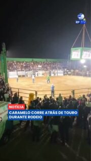 Quem roubou a cena no rodeio não foi o peão, nem o touro... foi um cachorro caramelo. 🐶

Logo após a queda do competidor, o cão invadiu a arena e saiu correndo atrás do touro. Sem demonstrar medo, latiu, perseguiu o animal e acabou arrancando aplausos e muitas risadas de quem acompanhava a prova. A atitude inesperada transformou o caramelo no personagem mais comentado do evento.

O momento foi registrado por quem estava no rodeio e rapidamente passou a circular nas redes sociais, conquistando internautas pela coragem ou pela curiosidade  do cachorro.

Na sua opinião, o caramelo foi corajoso ou apenas quis participar da festa? 😂

#RFTV #PortalVeloz #Animais #Caramelo #Noticias #Brasil