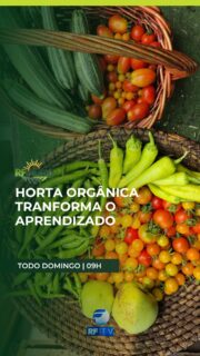 O RF Agro deste domingo traz reportagens especiais sobre inovação e práticas no campo. Em Campinas, vamos mostrar uma horta orgânica instalada dentro de um shopping center que transforma o contato com a terra em aprendizado.
A edição aborda também o cultivo de camarão no Agreste Pernambucano, destacando como uma ração específica auxilia no desenvolvimento do viveiro. Além disso, você vai ver como o bem-estar animal e a oferta de sombra para o gado de leite influenciam diretamente no aumento da produção.
Essas e outras notícias vão ao ar neste domingo, a partir das 9h da manhã. Não perca!
Horários:
🗓️ Todos os domingos, às 9h da manhã
Onde assistir:
📺 RFTV – TV aberta canal 8.1
🛰️ TVRO da Embratel (canal 120)
💻 YouTube e App RFTV Play