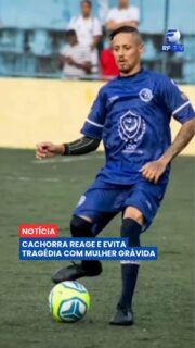 Uma cachorra foi decisiva para salvar a vida de uma mulher grávida de cinco meses em São Paulo 🐶

Segundo a polícia, a vítima foi atacada pelo companheiro, um jogador amador de futebol, depois de comunicar que queria colocar fim ao relacionamento. Durante as agressões com golpes de faca, a cadela Nina avançou contra o homem, dando tempo para que a mulher conseguisse pedir ajuda. O caso aconteceu em Paraisópolis, na zona sul da capital paulista.

A vítima foi socorrida com ferimentos graves e encaminhada ao hospital. O suspeito fugiu após o crime e continua sendo procurado pela polícia, que investiga o caso como tentativa de feminicídio.

Na sua opinião, o que ainda precisa ser feito para fortalecer a proteção às mulheres vítimas de violência? 💬

#RFTV #PortalVeloz #SaoPaulo #Feminicidio #Noticias #Brasil