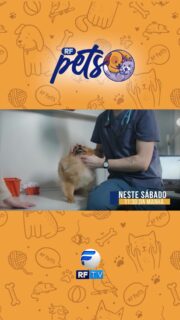 A edição deste sábado traz novidades imperdíveis para quem ama o universo pet. O programa aborda a expansão do serviço de dog nannies, profissionais focados no cuidado e bem-estar dos cães. A atração também faz um alerta importante sobre a prevenção de cálculos nos rins e na bexiga dos cachorros, apontando cuidados essenciais para a saúde animal. Além disso, há uma homenagem especial dedicada ao Dia do Cachorro Vira-lata e a exibição de momentos de carinho enviados pelo público. Assista no sábado, às 11h30.
#RFPets #MundoPet #CuidadosComPets #SaudeAnimal #DogNanny #ViraLata #AmorPet #RFTV