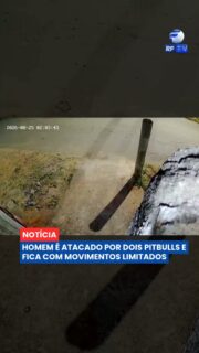 🐕 Um homem ficou gravemente ferido após ser atacado por dois cães da raça pitbull em São Paulo.

A vítima, identificada como Daniel Araújo Silva, foi atacada na Estrada do Tronco. Segundo a reportagem, os ferimentos foram graves e o homem perdeu os movimentos de um dos braços.

O caso chamou a atenção pela gravidade das lesões provocadas durante o ataque. A situação da vítima e as circunstâncias da ocorrência são acompanhadas pelas autoridades.

#RFTV #PortalVeloz #SaoPaulo #Seguranca #Noticias #Brasil