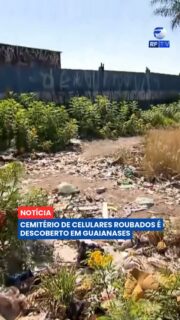 Um terreno abandonado em Guaianases, na zona leste de São Paulo, foi descoberto como ponto de descarte de centenas de celulares furtados. O local foi encontrado pelo influenciador digital Kauã Ribeiro, após ele rastrear o próprio aparelho, levado por criminosos.
Ao chegar ao endereço indicado pelo rastreamento, Kauã encontrou uma grande quantidade de celulares espalhados pelo terreno. Segundo relatos apresentados na reportagem, os aparelhos teriam sido subtraídos para a extração de dados pessoais antes de serem descartados.
O caso chama atenção para uma prática que vai além da revenda dos aparelhos: criminosos também podem buscar informações armazenadas nos celulares antes de abandoná-los.
As autoridades devem analisar as imagens registradas pelo influenciador para tentar identificar os responsáveis.
#RFTV #PortalVeloz #SaoPaulo #Guaianases #Celular #Seguranca #Noticias