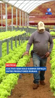 🌱 A hidroponia vem ganhando espaço no campo e se consolidando como alternativa para a produção agrícola.

O sistema permite o cultivo de plantas sem a utilização direta do solo, com as raízes recebendo água e nutrientes necessários para o desenvolvimento.

A técnica vem despertando o interesse de produtores que buscam novas formas de produção e maior controle sobre o cultivo.

Com a expansão do sistema, a hidroponia passa a ocupar um espaço cada vez maior na agricultura e mostra como diferentes tecnologias podem transformar a produção no campo.

#RFTV #PortalVeloz #Hidroponia #Agricultura #Noticias #Brasil