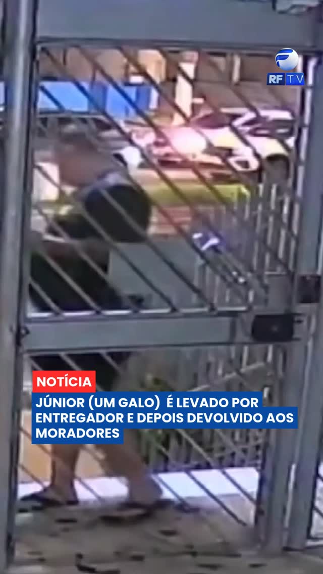 🐔 Câmeras de segurança registraram o momento em que um entregador pegou Júnior, um galo que recebia cuidados dos moradores de um condomínio em Vitória, no Espírito Santo.

As imagens mostram o homem interagindo com o animal antes de levá-lo. Uma moradora registrou ocorrência e também formalizou uma reclamação junto à plataforma de entregas. O caso passou a ser apurado.

Posteriormente, o entregador informou que pensou que Júnior estivesse abandonado e decidiu levá-lo. Após descobrir que o animal tinha uma cuidadora, ele devolveu o galo aos moradores.

Você acha que o caso poderia ter sido evitado? Comente e compartilhe.

#RFTV #PortalVeloz #Vitória #EspíritoSanto #Animais #Segurança