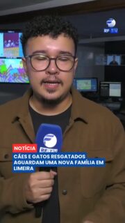🐾 Quem passar pelo Parque Cidade, em Limeira, neste sábado (5), poderá conhecer cães e gatos resgatados que estão à espera de uma nova família.

O evento de adoção acontece das 9h às 12h, em frente ao Ginásio Vô Lucato. Todos os animais disponíveis foram acolhidos pela Secretaria de Proteção Animal e receberam atendimento veterinário, além de estarem vacinados, castrados e microchipados.

A adoção deve ser feita de forma consciente, já que levar um animal para casa exige compromisso e responsabilidade por toda a vida. Para adotar, é necessário apresentar documento pessoal com foto e comprovante de endereço. Também é preciso levar coleira para cães e caixa de transporte para gatos.

📍 Serviço:
Data: sábado, 5 de setembro
Horário: das 9h às 12h
Local: Parque Cidade, em frente ao Ginásio Vô Lucato, Limeira

Compartilhe e ajude esses animais a encontrarem um novo lar.

#RFTV #PortalVeloz #Limeira #AdocaoAnimal #ProtecaoAnimal #Noticias